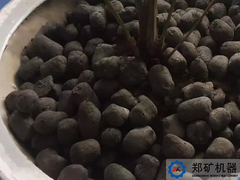 taoli3.jpg taoli3.jpg