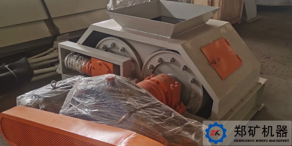 江蘇對輥造粒機(jī)項目